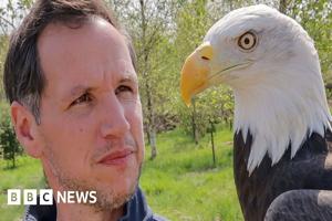similar news thumbnail