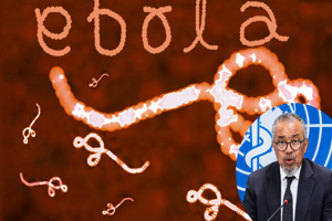 similar news thumbnail