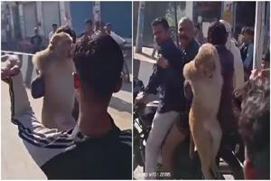 similar news thumbnail