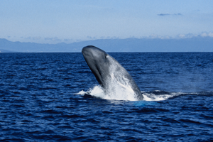 similar news thumbnail
