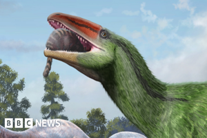 similar news thumbnail