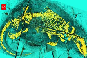 Science news thumbnail