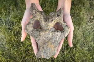 Science news thumbnail