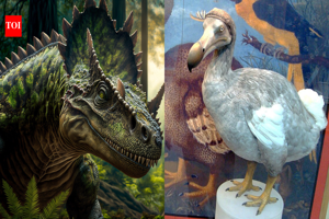 similar news thumbnail
