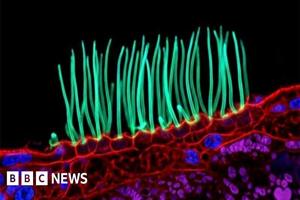 similar news thumbnail