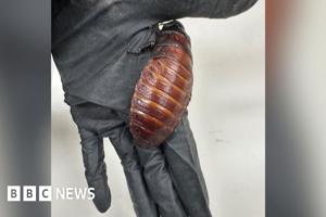 similar news thumbnail